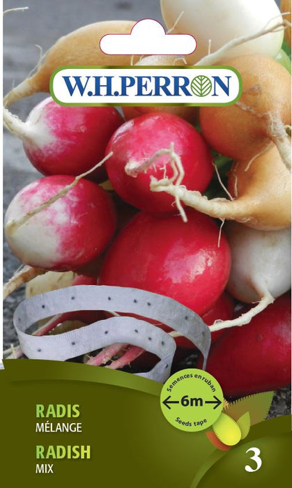 SEMENCES DE LEGUMES: RADIS - EN RUBAN MELANGE