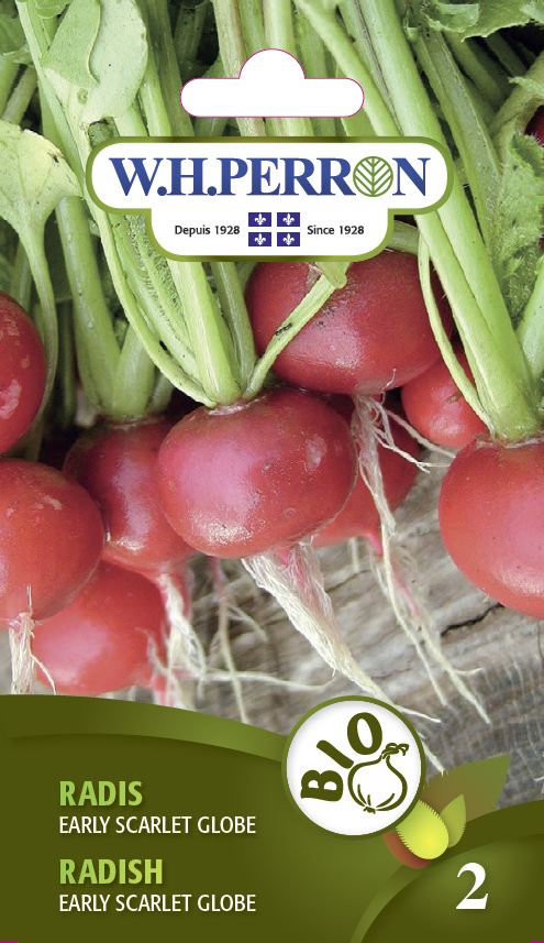 ORGANIC VEGETABLE SEEDS: RADISH - ROUND EARLY SCARLET GLOBE