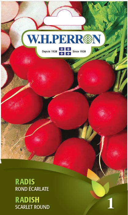 SEMENCES DE LEGUMES: RADIS - ROND ECARLATE