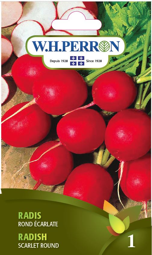 VEGETABLE SEEDS: RADISH - SCARLET GLOBE