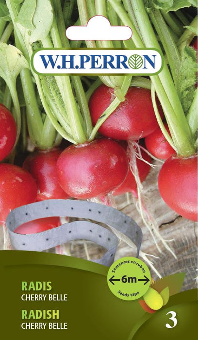 SEMENCES DE LEGUMES: RADIS - EN RUBAN CHERRY BELLE