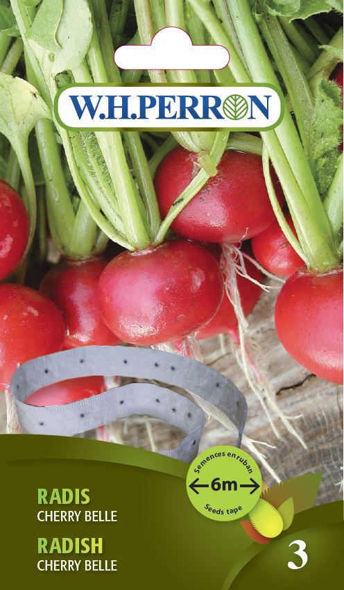 VEGETABLE SEEDS: RADISH - CHERRY BELLE SEED TAPE
