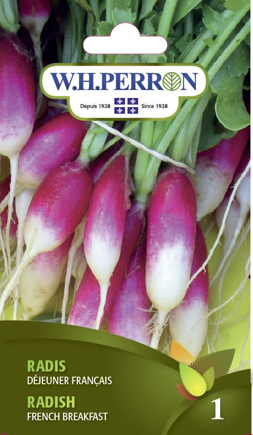 VEGETABLE SEEDS: RADISH - FRENCH BREAKFAST