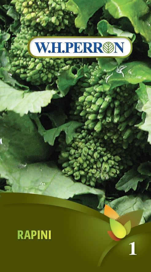 VEGETABLE SEEDS: RAPINI