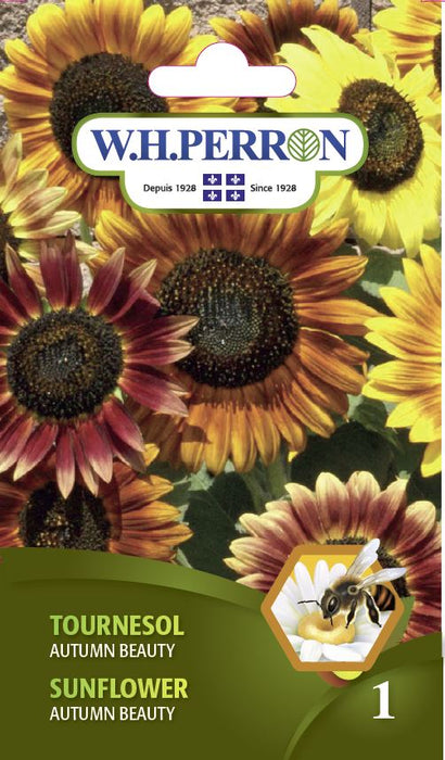 SEMENCES DE FLEURS: TOURNESOL - AUTUMN BEAUTY