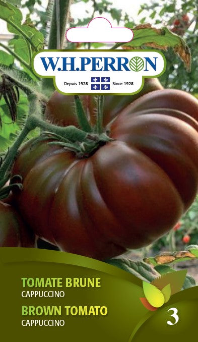 SEMENCES DE LEGUMES: TOMATE BRUNE - CAPPUCCINO