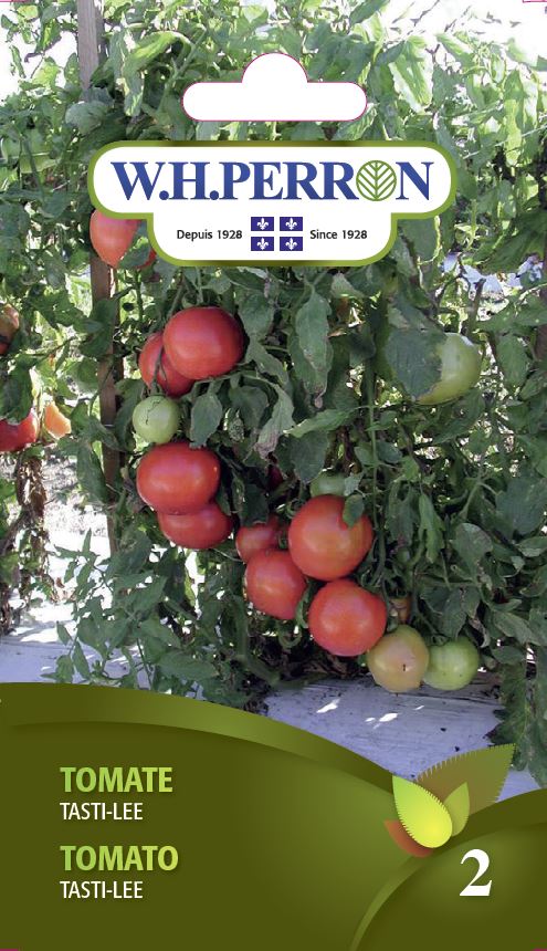 VEGETABLE SEEDS: TOMATO - ROUGE TASTI-LEE