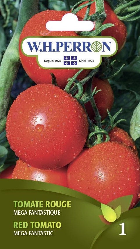 VEGETABLE SEEDS: RED TOMATO - MEGA FANTASTIC