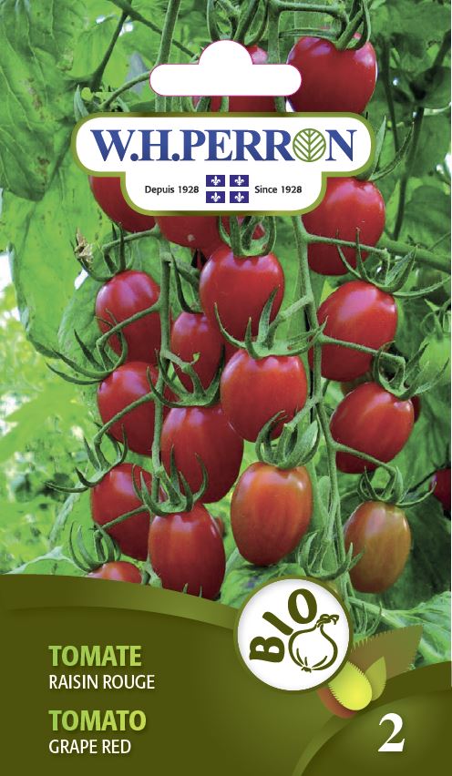 ORGANIC VEGETABLE SEEDS: TOMATO - RED GRAPE