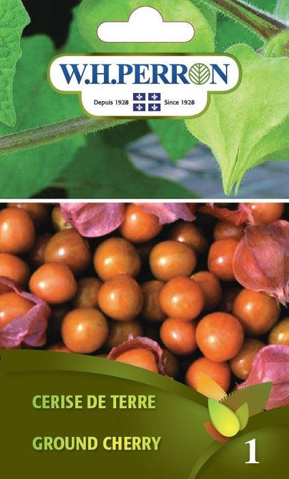 SEMENCES DE LEGUMES: CERISE DE TERRE