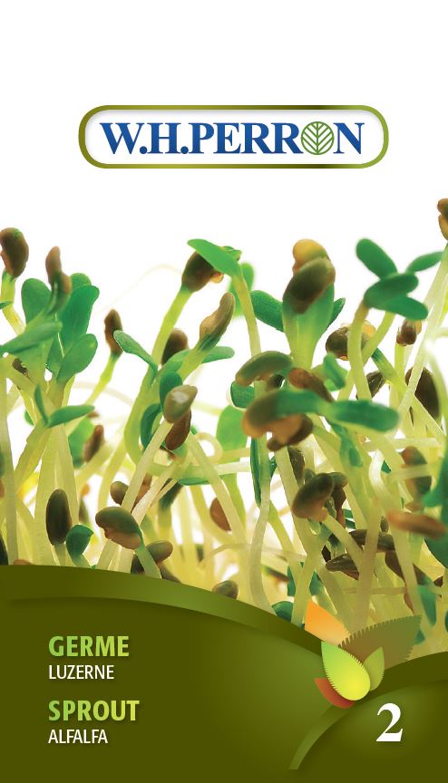 SPROUT SEEDS: ALFALFA