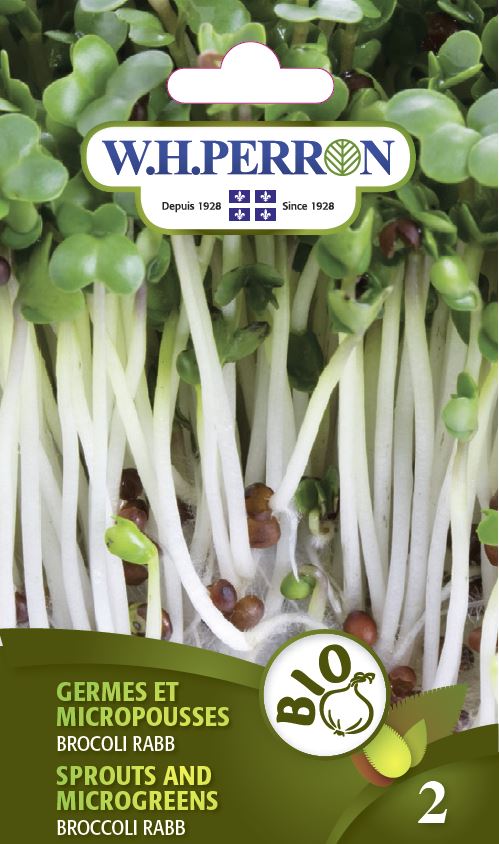 ORGANIC SPROUT SEEDS: SPROUTS AND MICROGREENS - BROCCOLI RABE