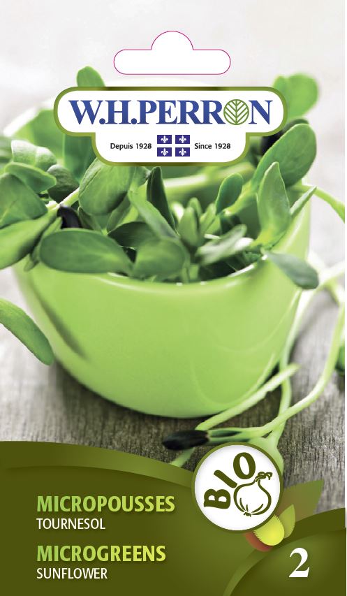 SEMENCES DE GERMES BIO: MICROPOUSSE - TOURNESOL