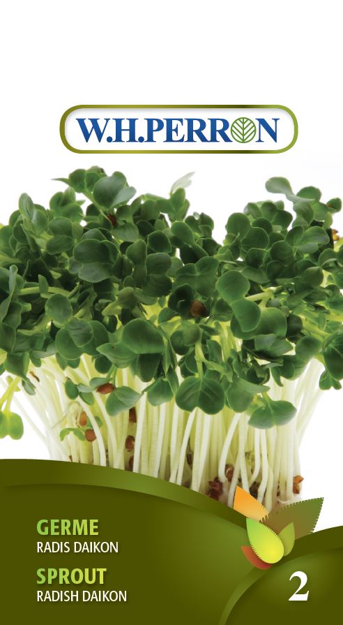 SPROUT SEEDS: RADISH - DAIKON