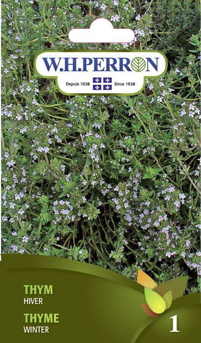 SEMENCES DE FINES HERBES: THYM - HIVER