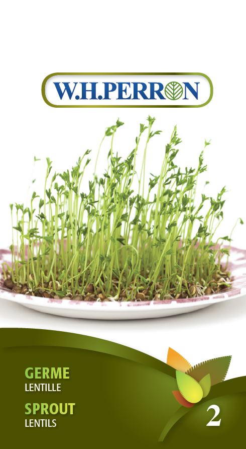 SPROUTING SEEDS: LENTIL