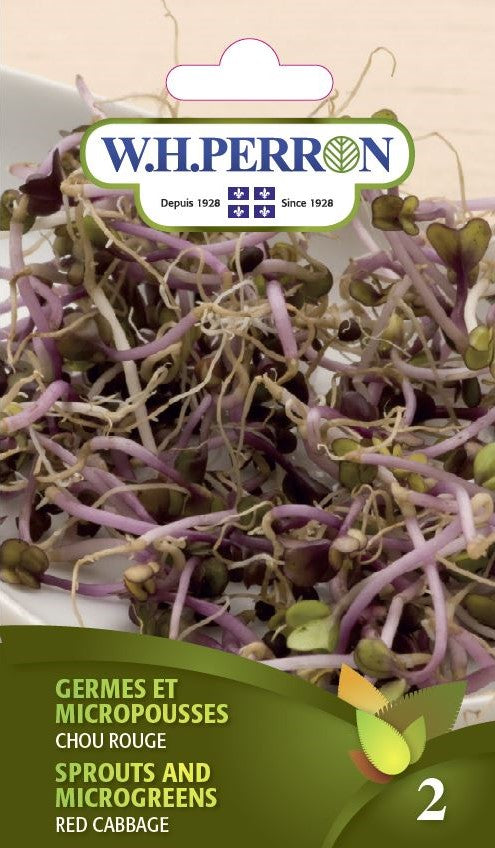 SPROUTING SEEDS - SPROUTS AND MICROGREENS - RED CABBAGE