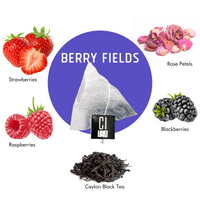 THÉ PYRAMIDE BERRY FIELDS AUX FRUITS ROUGES POUR AMATEURS
