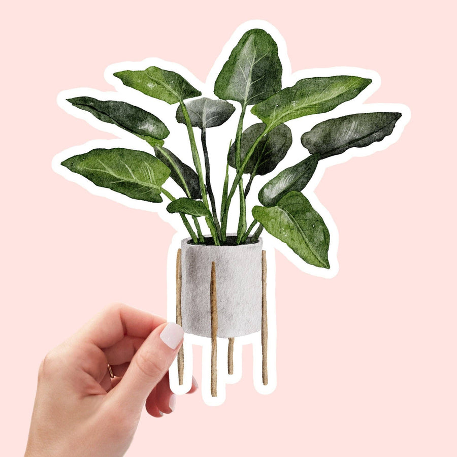 AUTOCOLLANT - PLANTE D'INTÉRIEUR