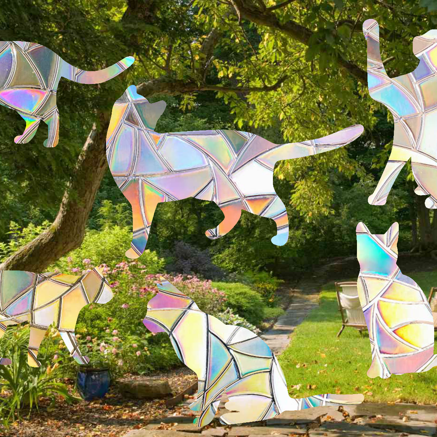 CAPTEURS DE SOLEIL EN FORME DE CHATS