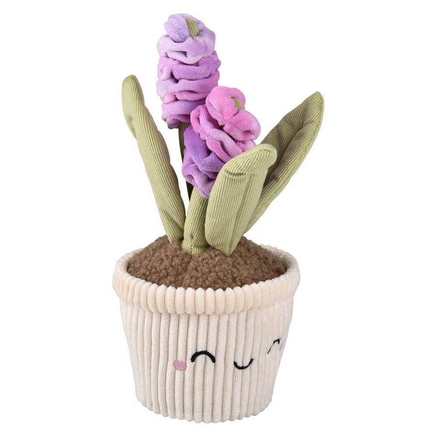 PLUSH - SUCCULENTS