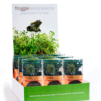 HUMIDIMÈTRE GRENOUILLE AVEC CAPTEUR DE LUMIÈRE ET SON AVEC ÉCRAM