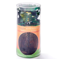 HUMIDIMÈTRE GRENOUILLE AVEC CAPTEUR DE LUMIÈRE ET SON AVEC ÉCRAM