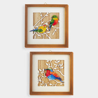 CADRE - OIDEAUX ET BRANCHES BLANCHES