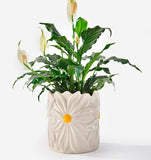 CACHE POT EN CÉRAMIQUE - MARGUERITES