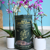 TERREAU POUR ORCHIDÉES