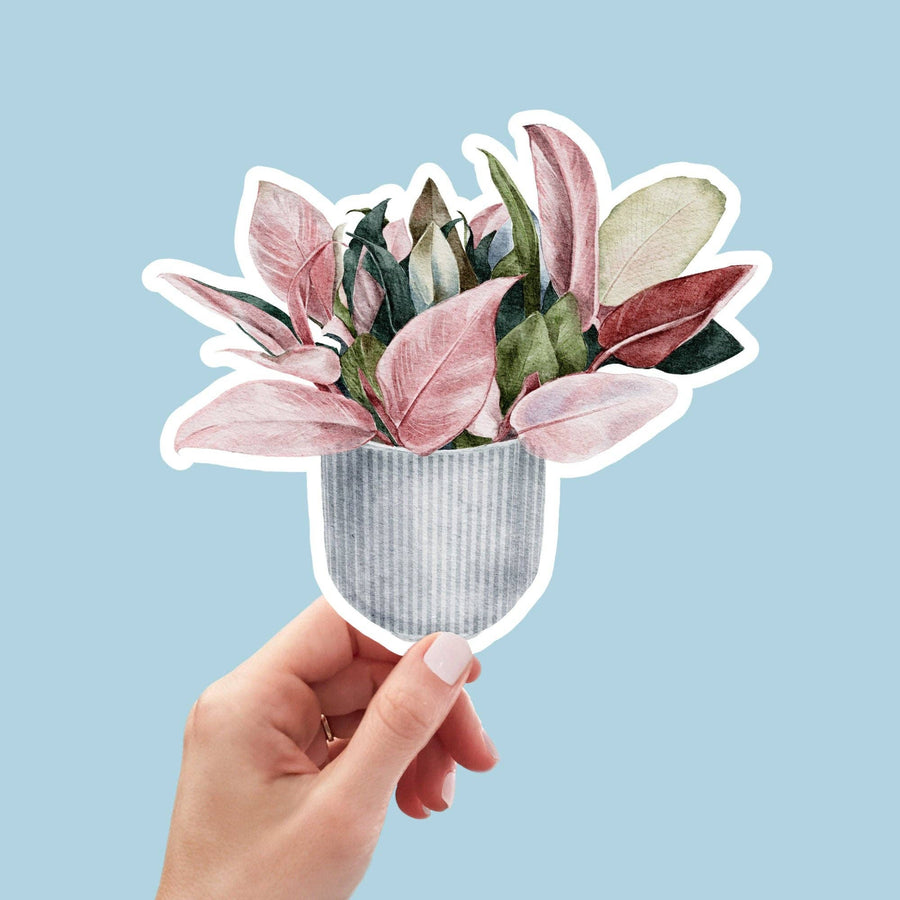 AUTOCOLLANT - PLANTE D'INTÉRIEUR