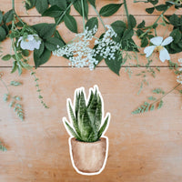 AUTOCOLLANT - PLANTE D'INTÉRIEUR