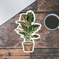 AUTOCOLLANT - PLANTE D'INTÉRIEUR