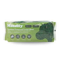 MOUSSE DE FORÊT STABILISÉE DE QUALITÉ SUPÉRIEURE