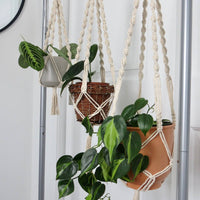 SUPPORT POUR PLANTES EN MACRAMÉ | JARDINIÈRE SUSPENDU D'INTÉRIEUR