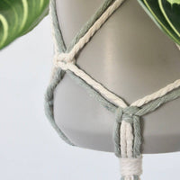 SUPPORT POUR PLANTES EN MACRAMÉ BICOLORE | JARDINIÈRE SUSPENDU D'INTÉRIEUR