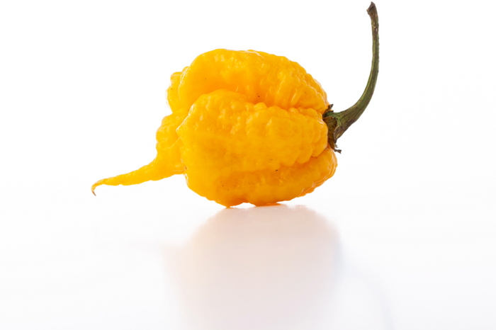 PIMENT - CAROLINA REAPER