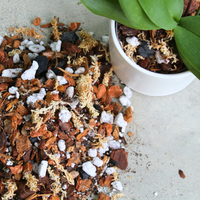 TERREAU POUR ORCHIDÉES