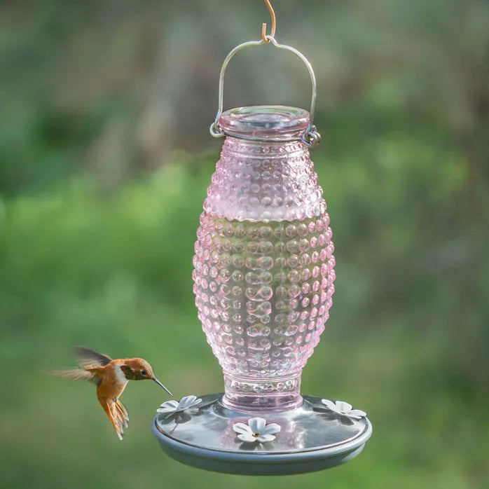 HUMMINGBIRD FEEDER - DECORATIVE GLASS 16 OZ