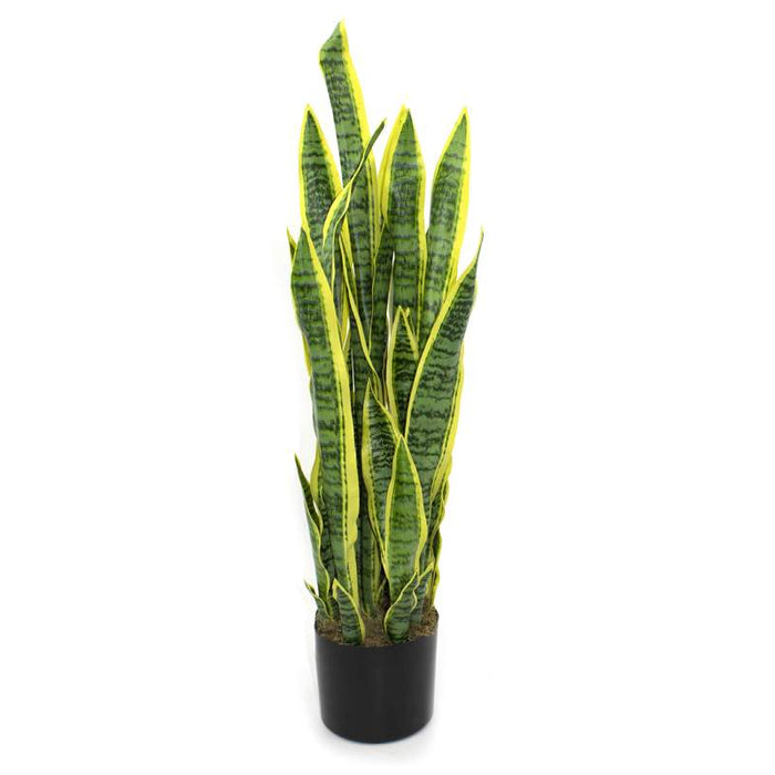 PLANTE ARTIFICIELLE - SANSEVIERIA