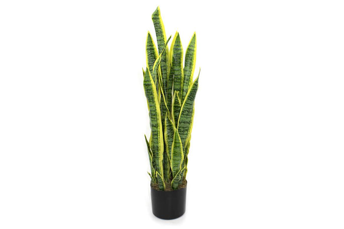 PLANTE ARTIFICIELLE - SANSEVIERIA
