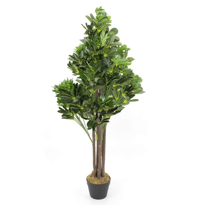 PLANTE ARTIFICIELLE SCHEFFLERA ARBORICOLA 49 PO