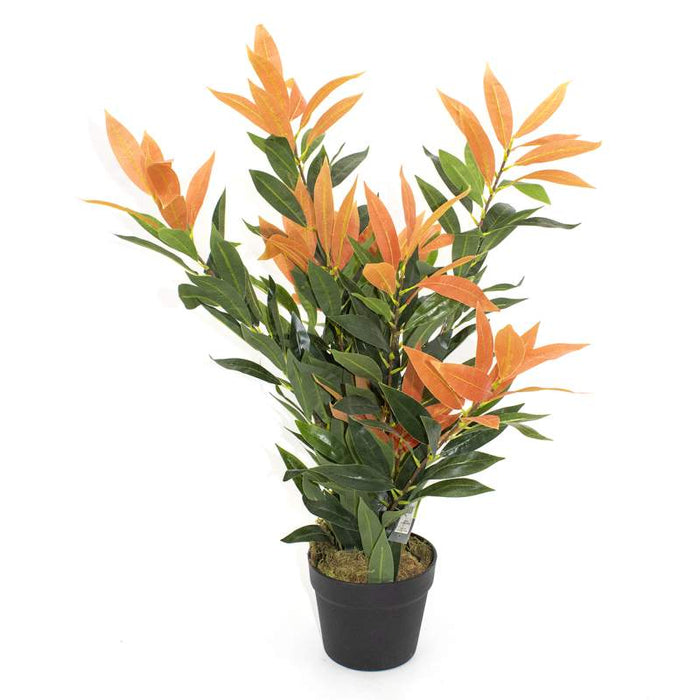 PLANTE ARTIFICIELLE - PHOTINIA JAPONAISE
