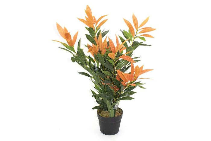 PLANTE ARTIFICIELLE - PHOTINIA JAPONAISE