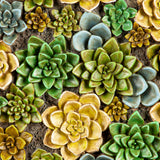DÉCORATION MURALE - PLAQUE SUCCULENTES