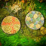 DÉCORATION MURALE - PLAQUE SUCCULENTES