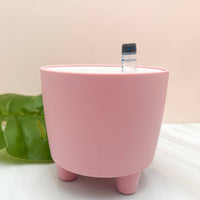 POT À EAU AUTONOME DE 3 POUCES