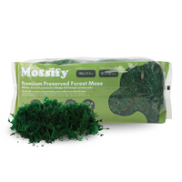 MOUSSE DE FORÊT STABILISÉE DE QUALITÉ SUPÉRIEURE
