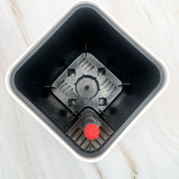 POT AUTO-ARROSANT DE 6 POUCES