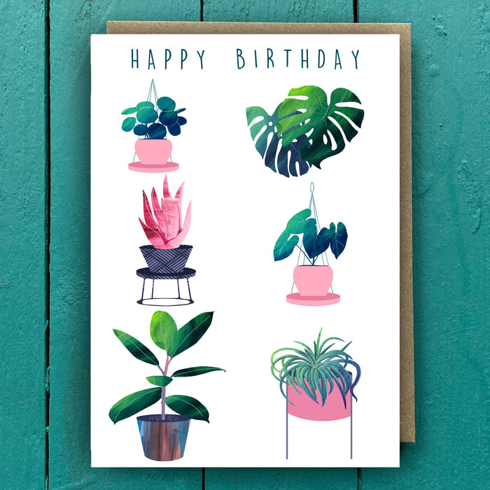 CARTE D`ANNIVERSAIRE - PLANTES D`INTERIEUR